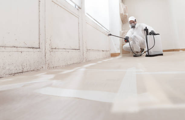 Trusted Commercial Mold Remediation service in Maplewood, WA - WQB Mold Removal