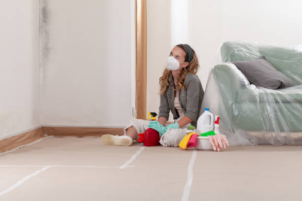 Reliable Commercial Mold Remediation contractor in Maplewood, WA by WQB Mold Removal